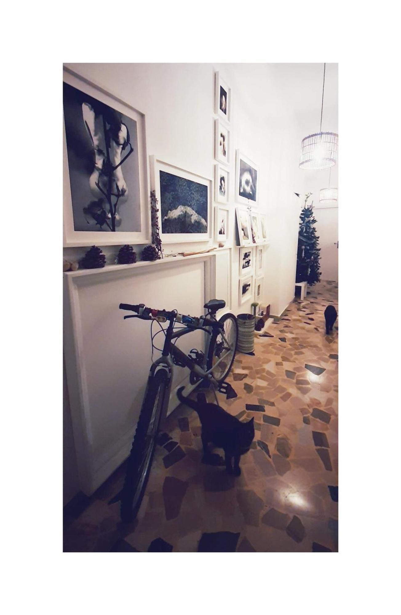 Ab Ovo Bed & Breakfast Cagliari Bagian luar foto